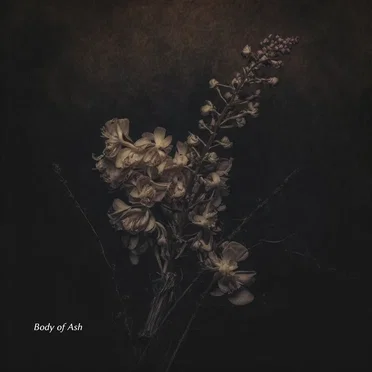 Body of Ash by V0Xx - album cover