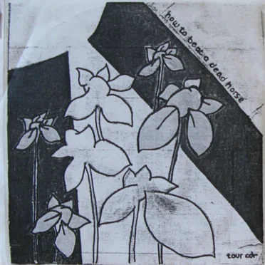 Tour CDr by How To Beat A Dead Horse - album cover