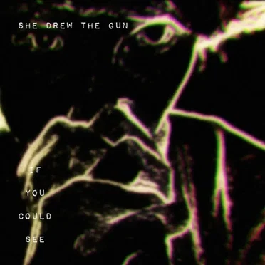 If You Could See by She Drew the Gun - album cover