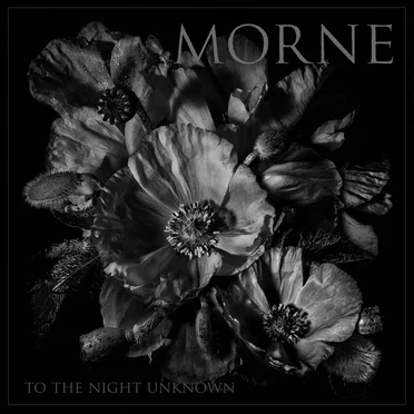 To the Night Unknown by Morne - album cover