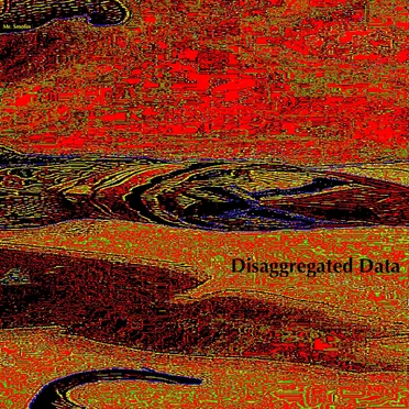 Disaggregated Data