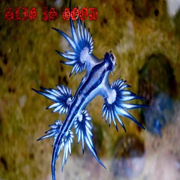 Slig Is Good by Worak - album cover