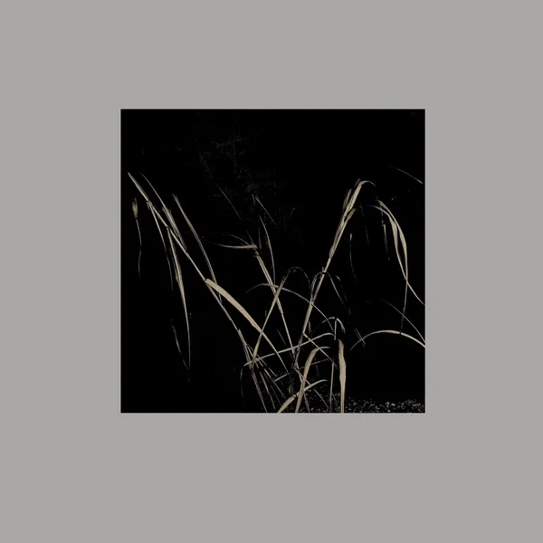 v02 Variant [ I–IV ]