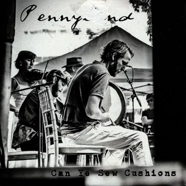 Can Ye Sew Cushions by Pennyland - album cover