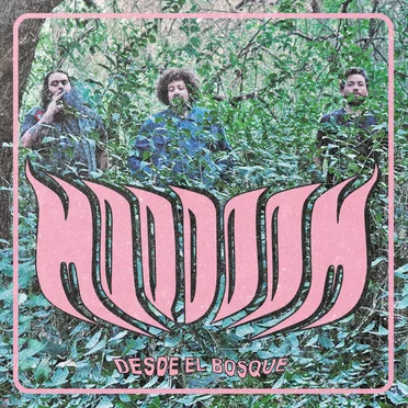 Desde el bosque by Moodoom - album cover