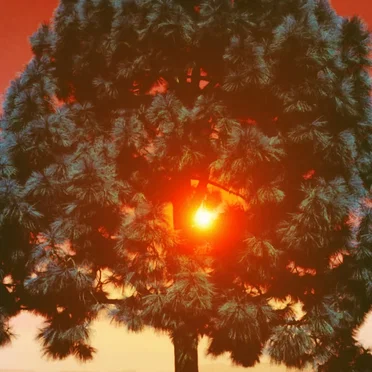 C'était le soleil by Temps des nuits - album cover