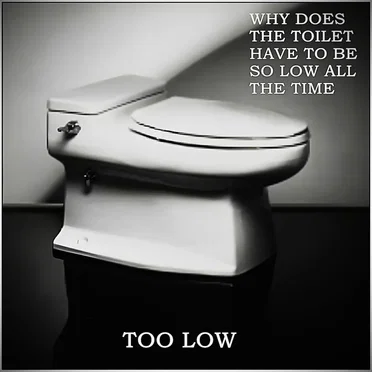 Too Low by Why Does the Toilet Have to Be So Low All the Time - album cover