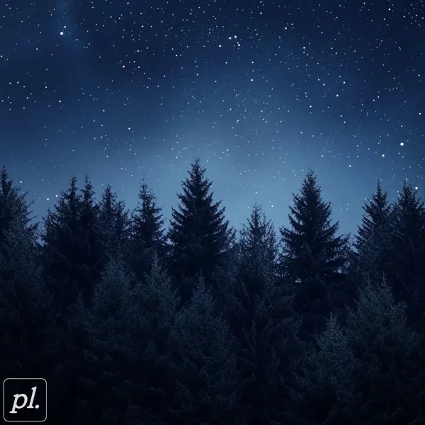 lost in the evergreens