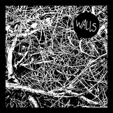 Stare at the Walls