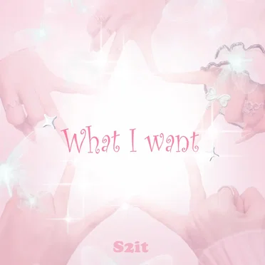 What I Want by S2IT - album cover