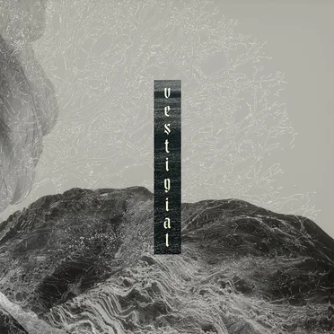 Descending Vastness by Vestigial - album cover