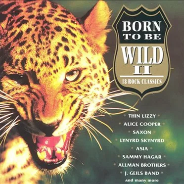 Born to Be Wild II: 18 Rock Classics by Various Artists - album cover