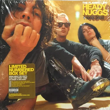 Heady Nuggs: The First 5 Warner Bros. Records 1992-2002