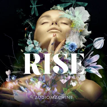 Rise