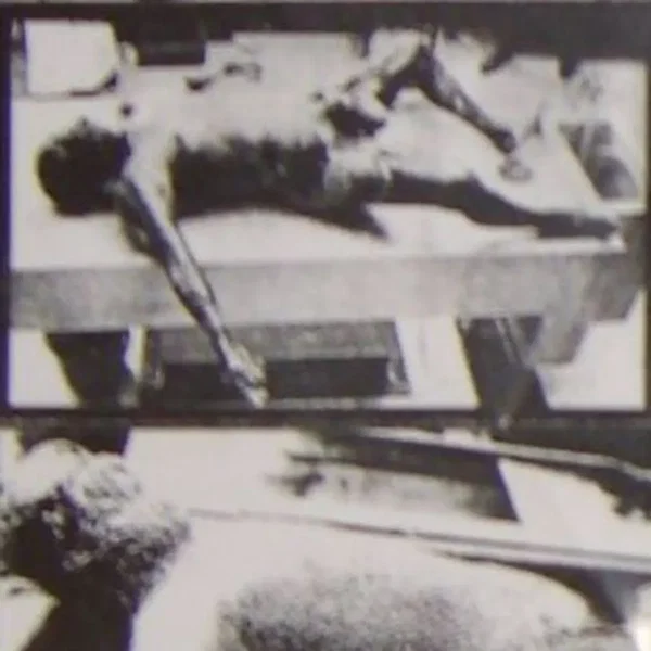 Bizarre Abnormality Compilation Tape Volume 1