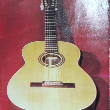 Muzică Folk by Various Artists - album cover