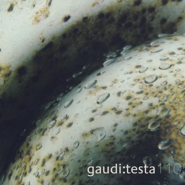 Gaudi:Testa 1105