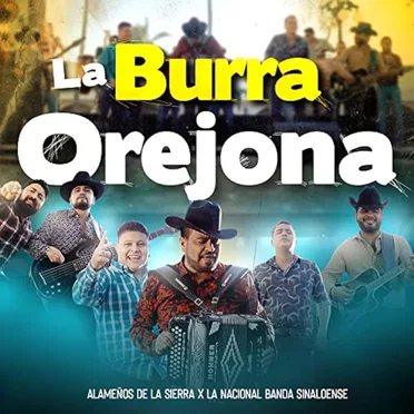 La burra orejona by Alameños De La Sierra - album cover