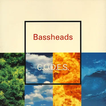 C.O.D.E.S.
