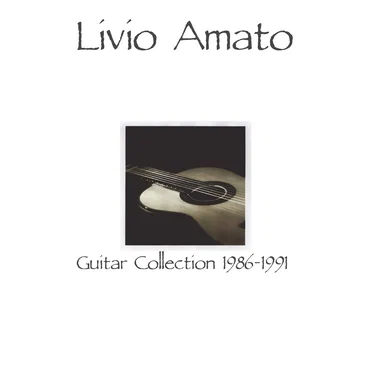 Guitar collection 1986-1991