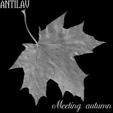 Meeting Autumn 2.0 by Antilav - album cover