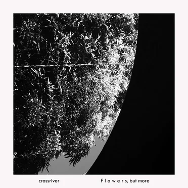 Flowers, but More by crossriver - album cover