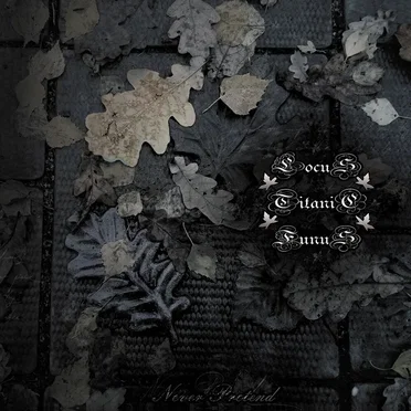 Never Pretend by Locus Titanic Funus - album cover
