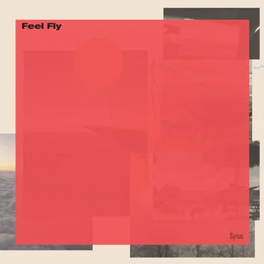 10.01 by Feel Fly - album cover
