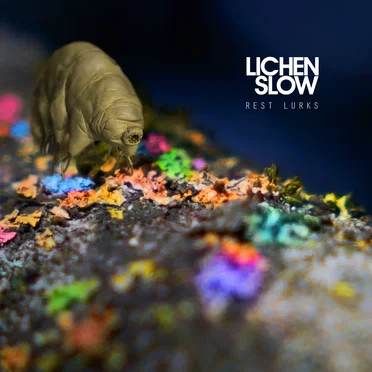 Rest Lurks by Lichen Slow - album cover