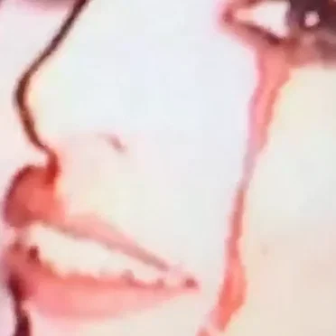 livestream death compilation by birds fear death - album cover