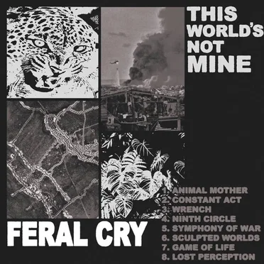 This World's Not Mine