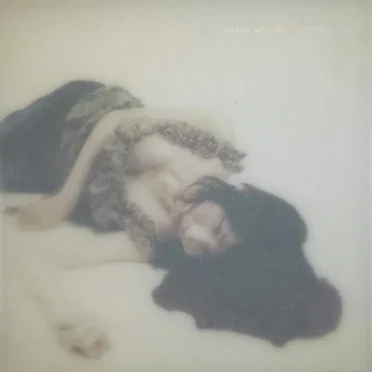 boris at last –feedbacker–