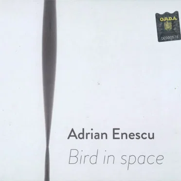 Bird In Space