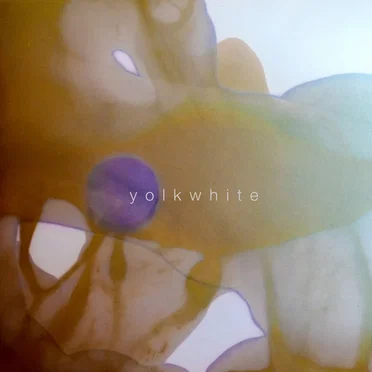 yolkwhite