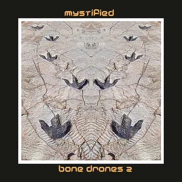 Bone Drones 2
