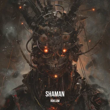 Shaman by Roklum - album cover