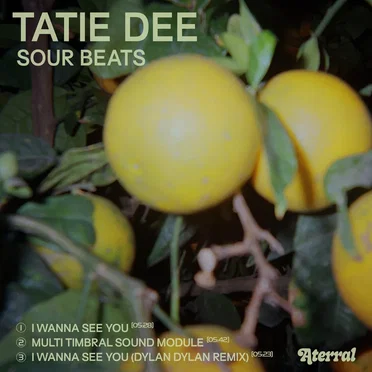 Sour Beats by Tatie Dee - album cover