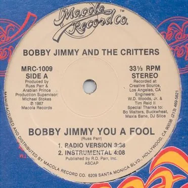 Bobby Jimmy You a Fool by Bobby Jimmy and the Critters - album cover