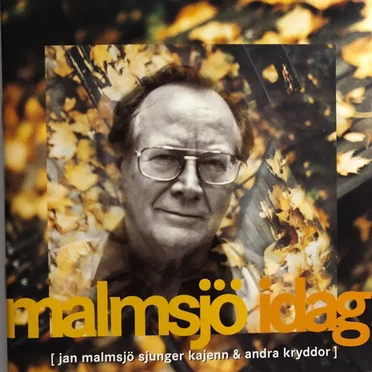 Malmsjö idag!