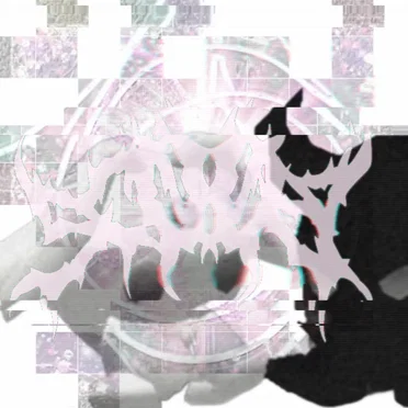 ★cameras (flash)★