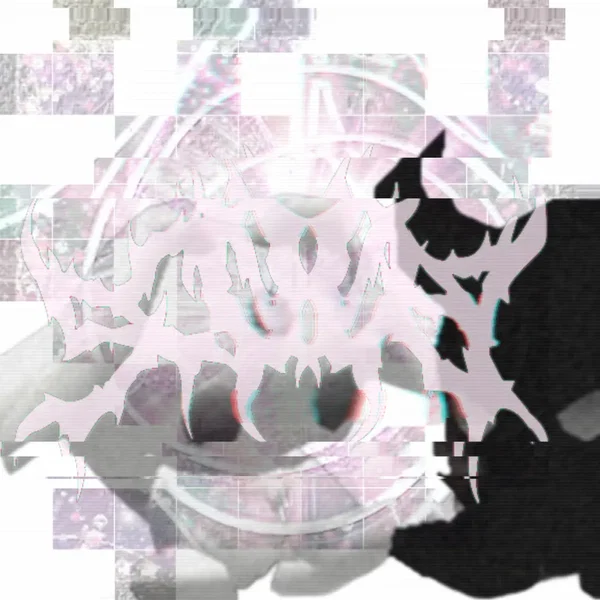 ★cameras (flash)★