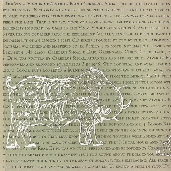 The Vim and Vigour of Cerberus Shoal