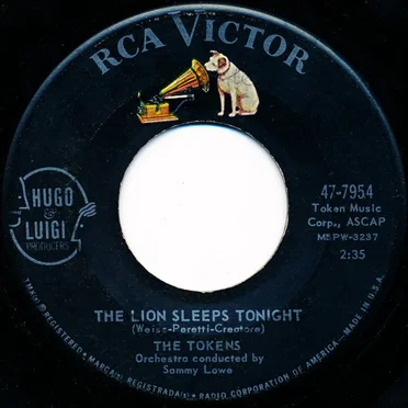 The Lion Sleeps Tonight / Tina