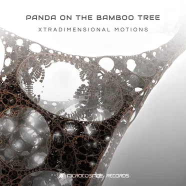 Xtradimensional Motions by Panda On The Bamboo Tree - album cover
