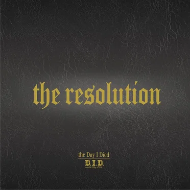 the resolution(2.0.3)