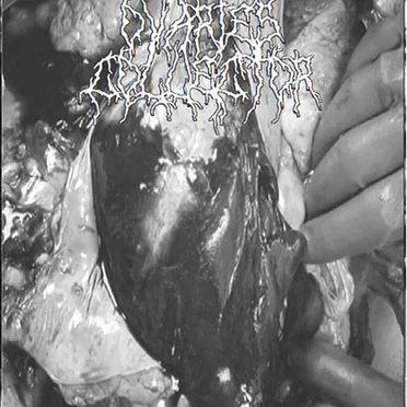 Ovarian Liquefaction