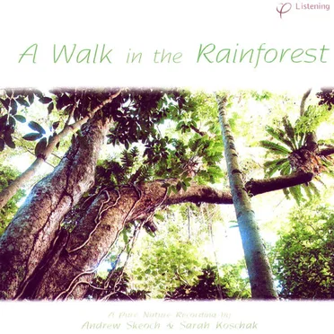 A Walk in the Rainforest