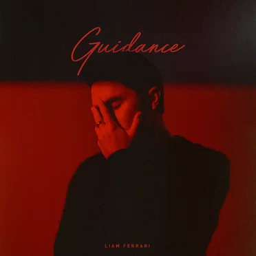 Guidance by Liam Ferrari - album cover