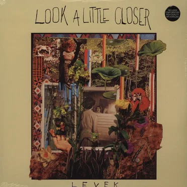 Look a Little Closer by Levek - album cover