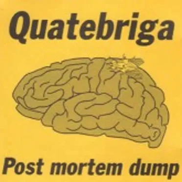 Quatebriga